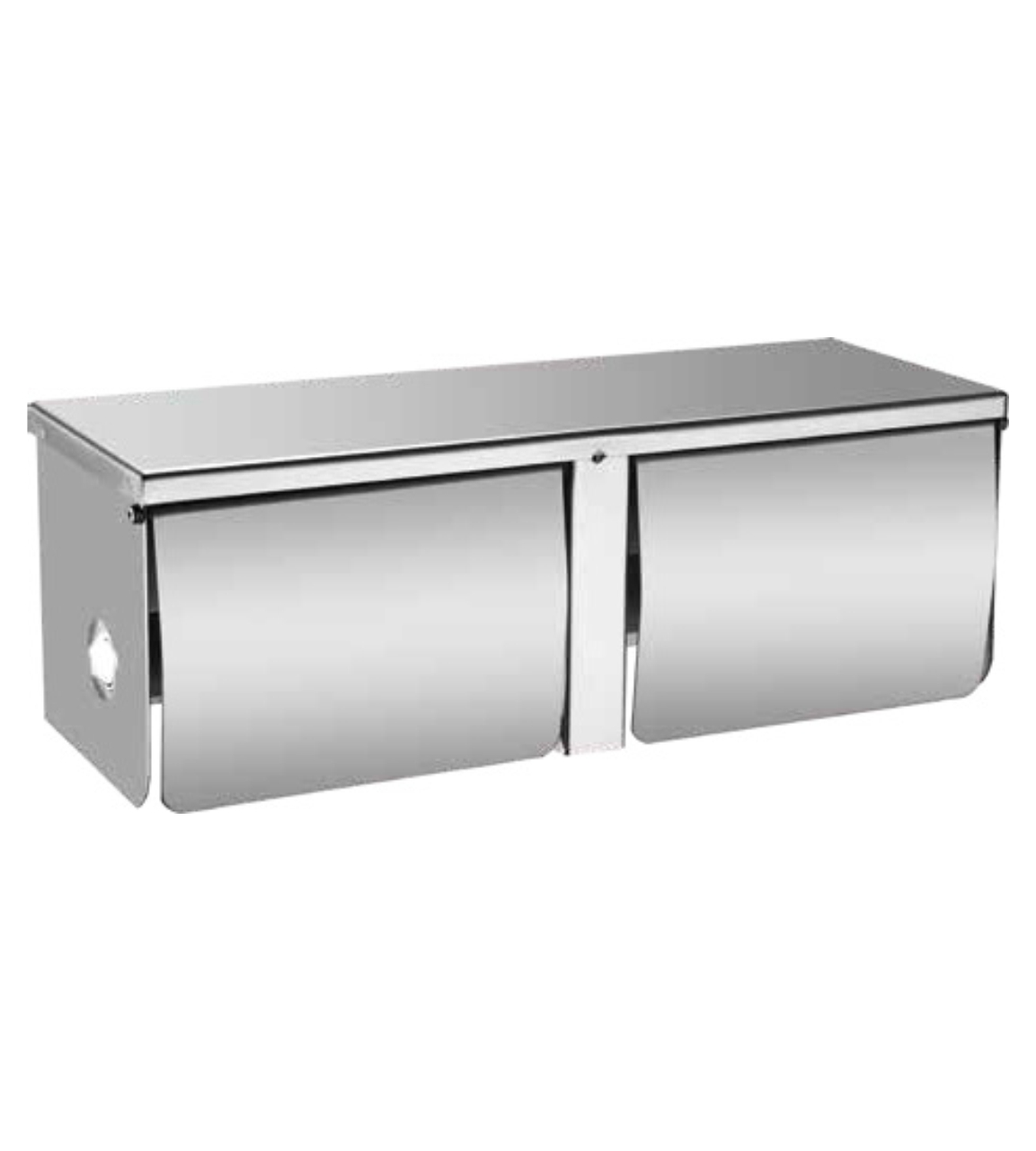     Dual stainless steel tissue roll holder 