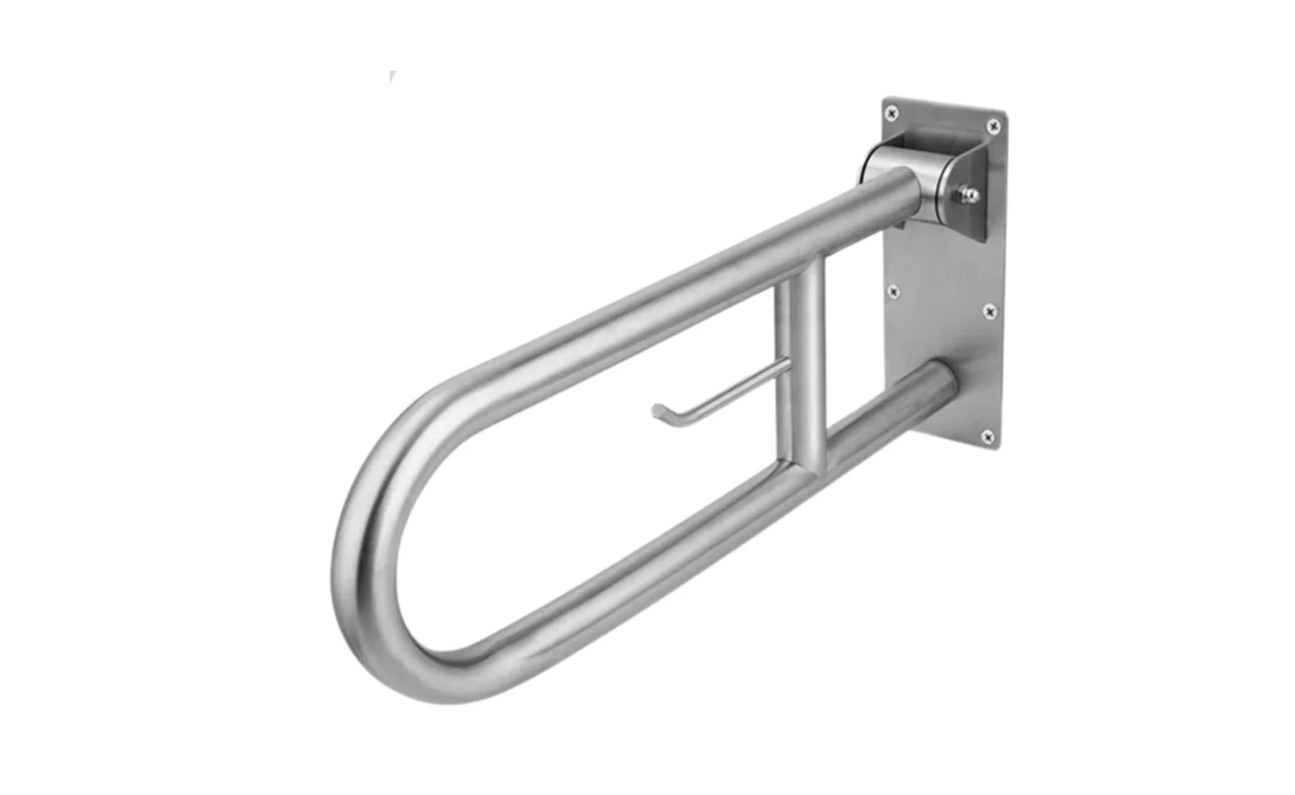 Swing Grab Bar
